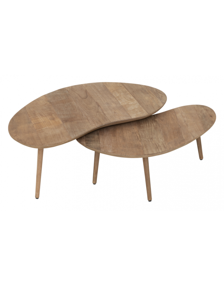 Coffee Table AP set of 2